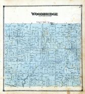 Woodbridge, Hillsdale County 1872